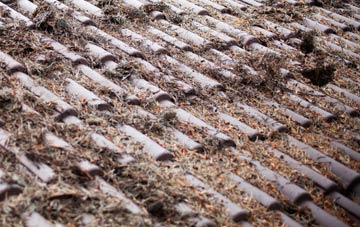 Toynton All Saints roof cleaning companies