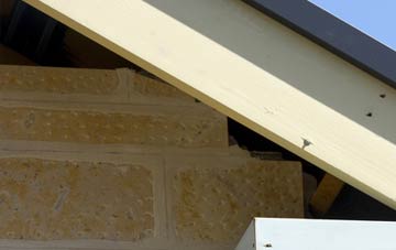 soffit repair Toynton All Saints